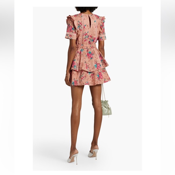 Walter Baker Pink Ivette Floral-print Broderie Anglaise Cotton Mini Dress - Picture 3 of 14